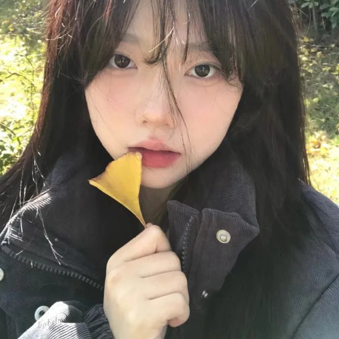 爱美丽狂想曲国语